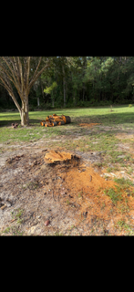 Tree Removal for Hawkins Tree Service & Land Management in Richmond Hill, GA