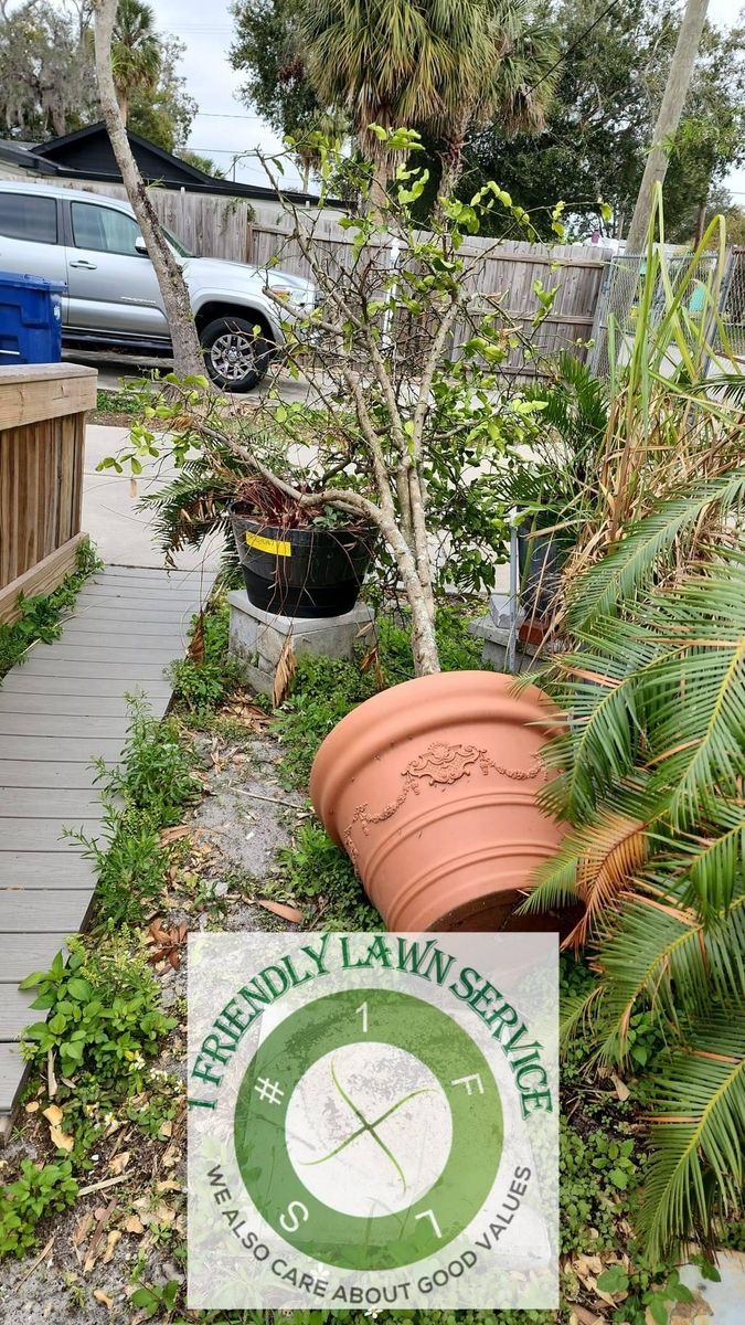 Seasonal Landscape Cleanup for 1 Friendly Lawn Service  in Tampa, FL
