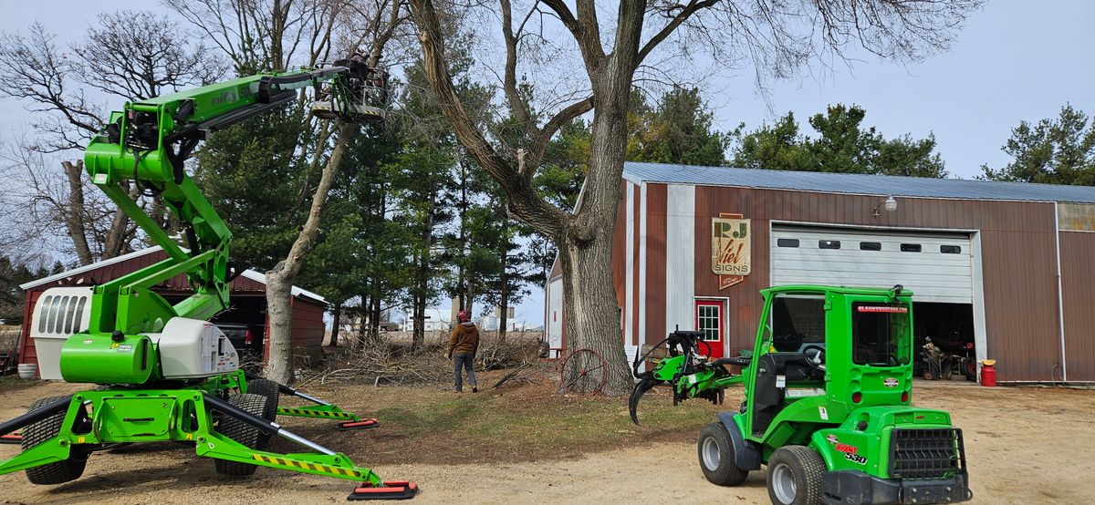 Crane Assisted Tree Removal for Olson Tree Service, Inc in Rockford, IL