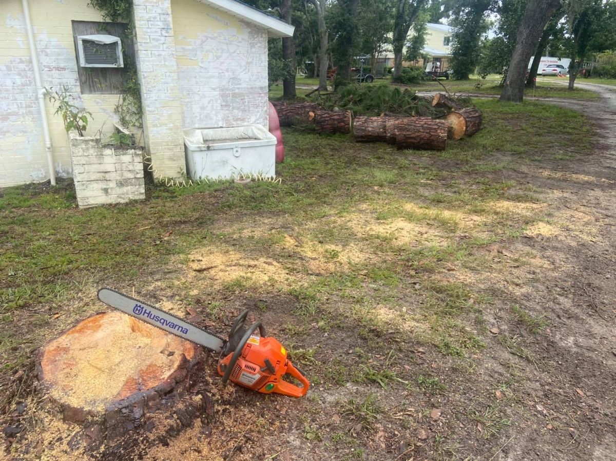 Stump Removal for Pinedown LLC in Cherokee County, GA