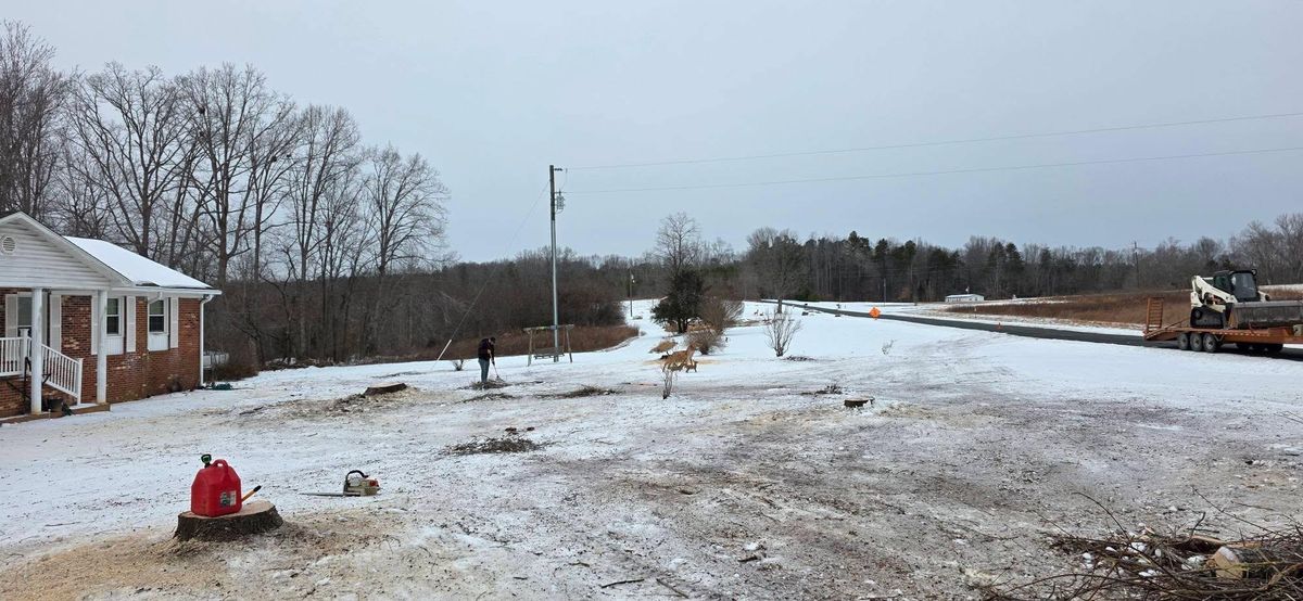 Stump Removal for Hamlett Tree Service LLC in Clover, VA