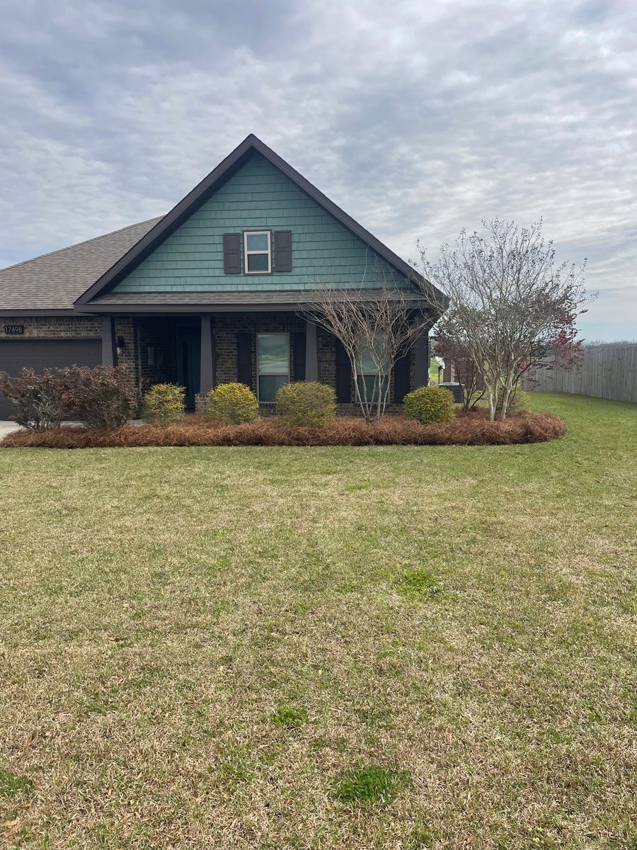 Mulch, Pine straw install for Enhanced Landscape in Daphne, AL