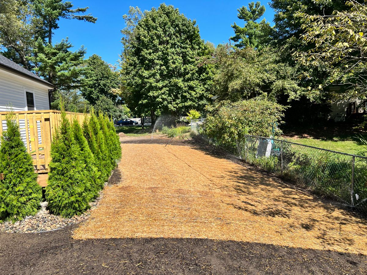 Lawn Care for Greenscape Lawns in Montague, MI