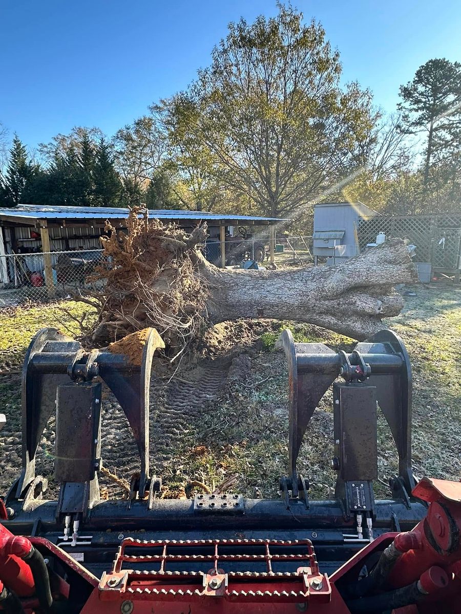 Stump Removal for Page Outdoor Services in Wrightsville, GA