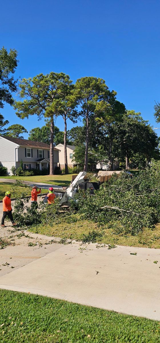 Fall Clean Up for Servin's Tree Care  in Houston, TX