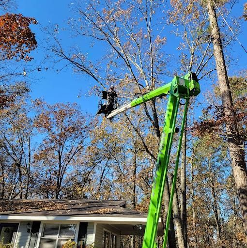 Tree Removal for Trees Unlimited of the CSRA in Augusta, GA