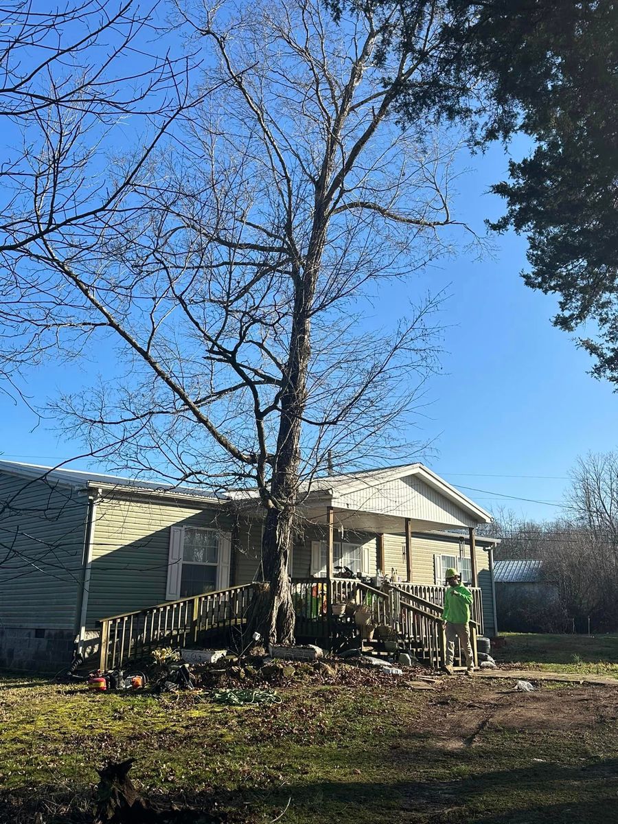 Tree Removal for Greenskeeper Property Management in Elizabethtown, KY