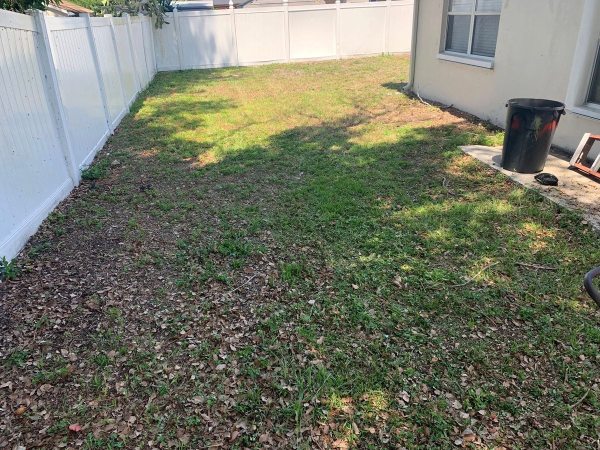 Lawn Maintenance for Mitchell Lawn Service in Odessa, FL
