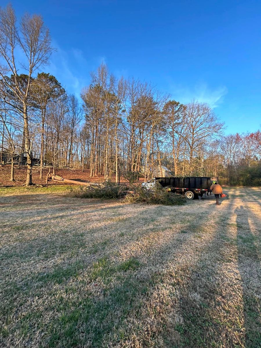 Tree Trimming for Chipper's Tree Service  in Fort Payne, AL