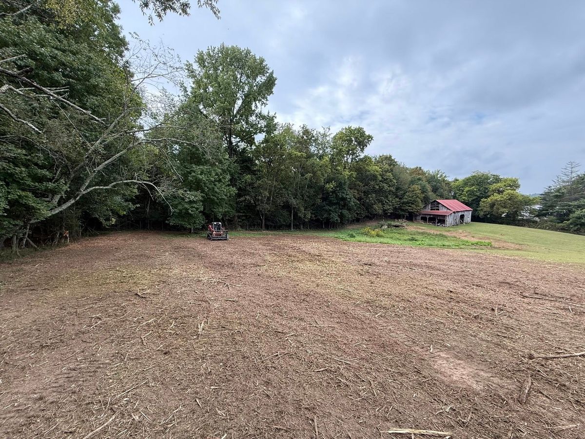 Forestry Mulching for West Landworks in Bean Station, TN