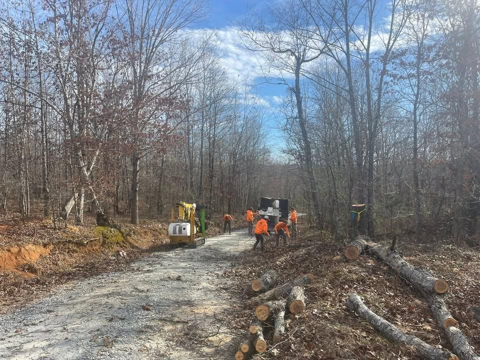 Tree Removal for Ross Family Tree Service LLC  in Hohenwald, TN
