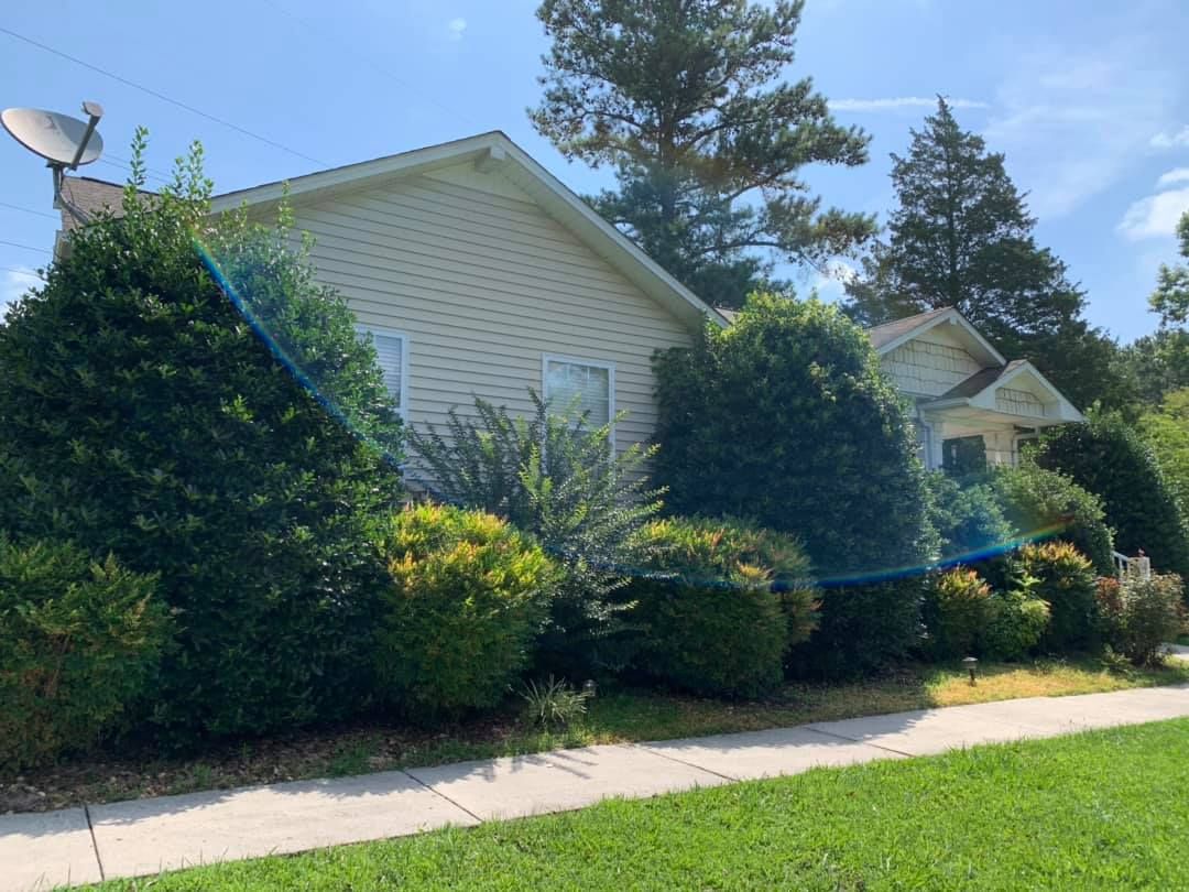 Shrub Trimming for Fenix Lawn Care in Cookeville, TN