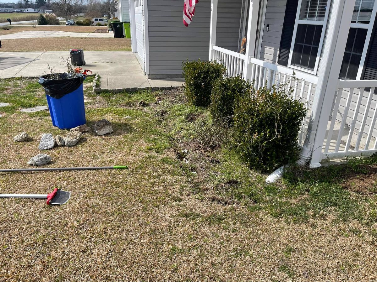 Shrub Trimming for NC Lawn Medics, LLC in Jacksonville, North Carolina