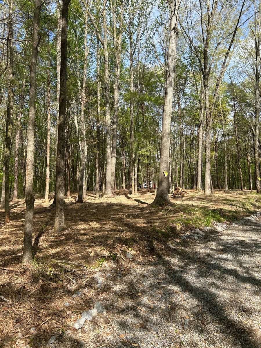 Mulching for Z's Land Management & Forestry Mulching in Smithville, TN