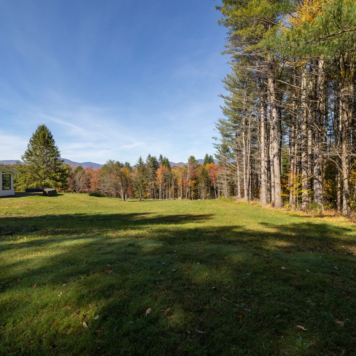 Land Clearing & Demolition for Andy Naylor Excavation in Stowe, VT