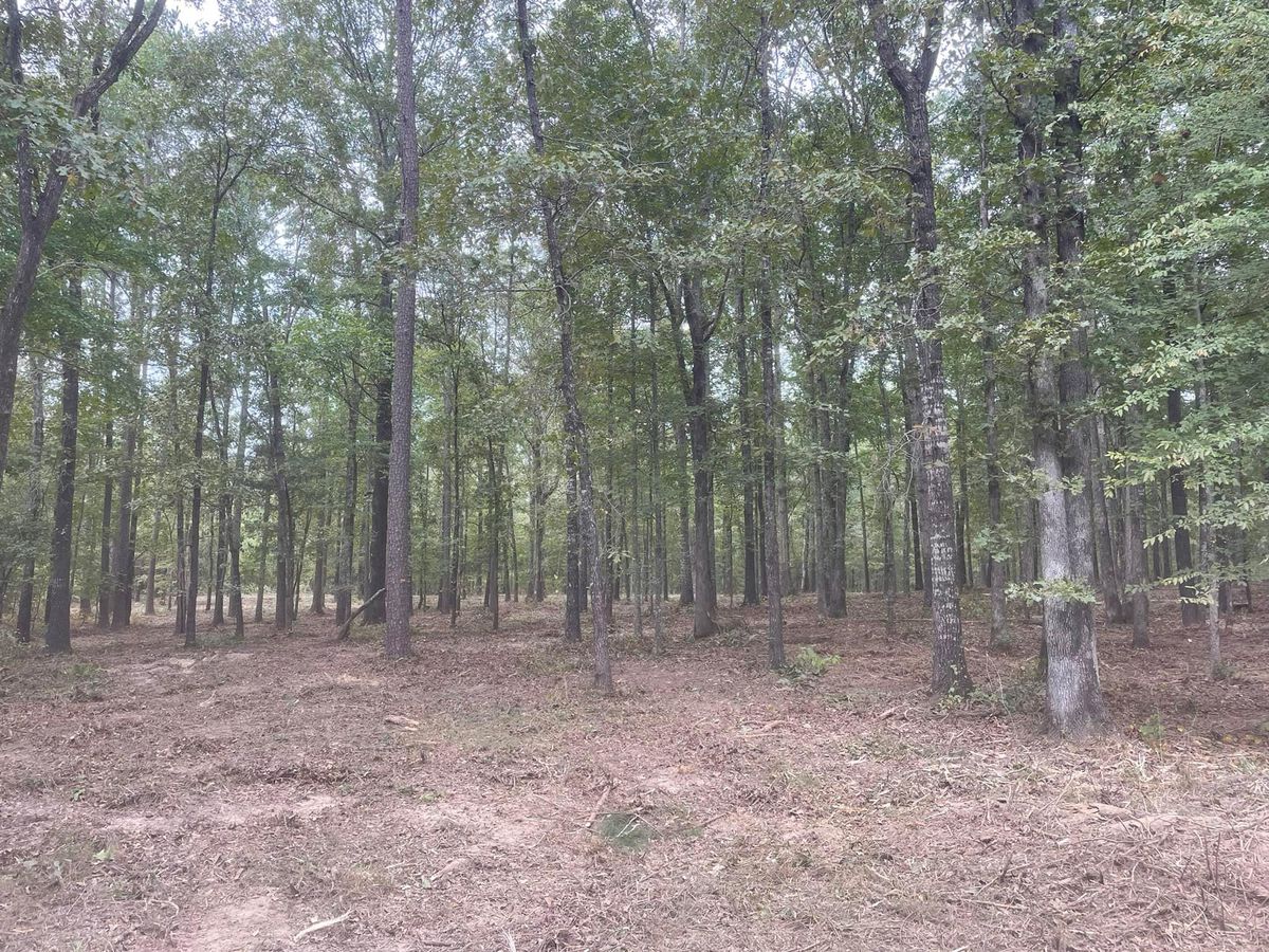 Forestry Mulching for Southern Land Improvements in Edgefield, SC