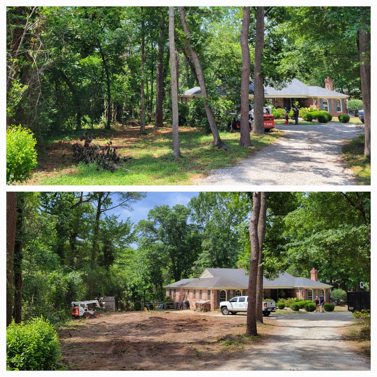 Tree Removal for Trees Unlimited of the CSRA in Augusta, GA