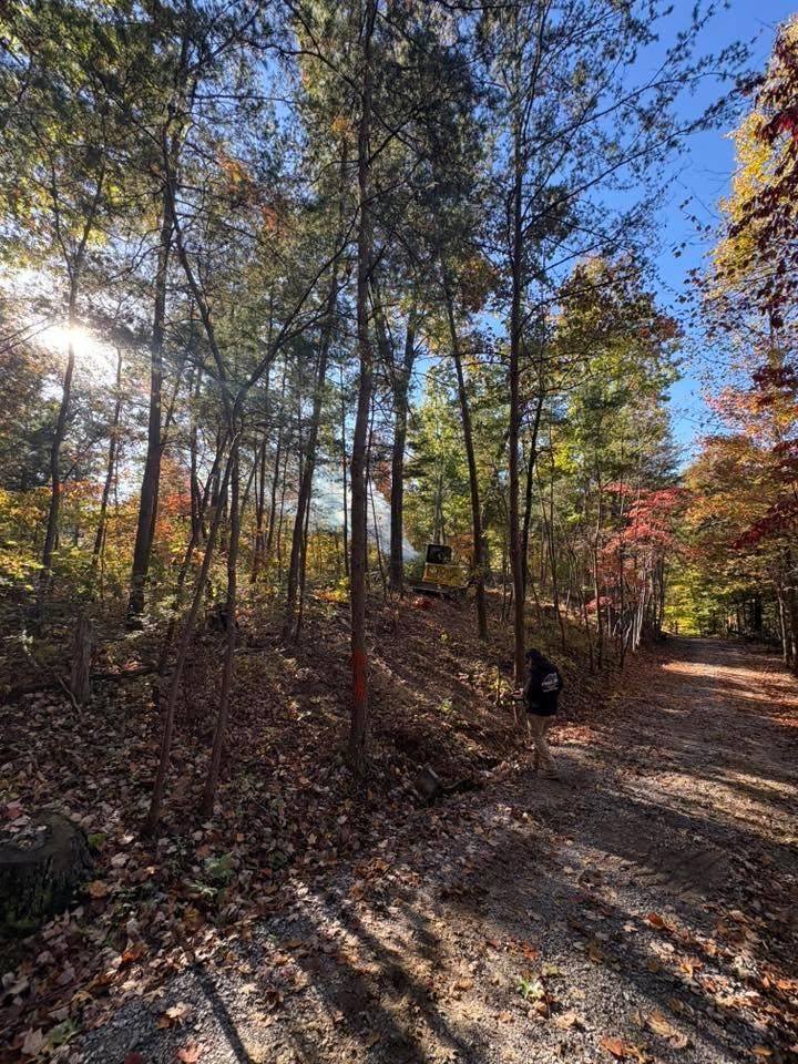 Forestry Mulching for Phillips Construction and Excavating in Seymour, TN