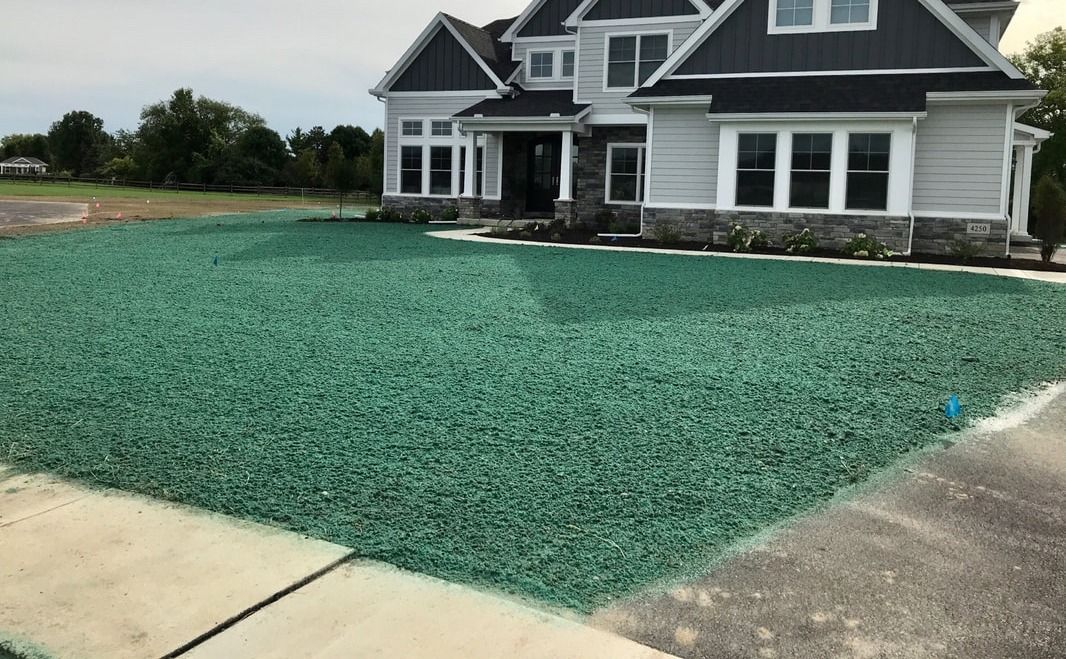 Hydroseeding for Absolute Lawn Solutions LLC in Sutherland, VA