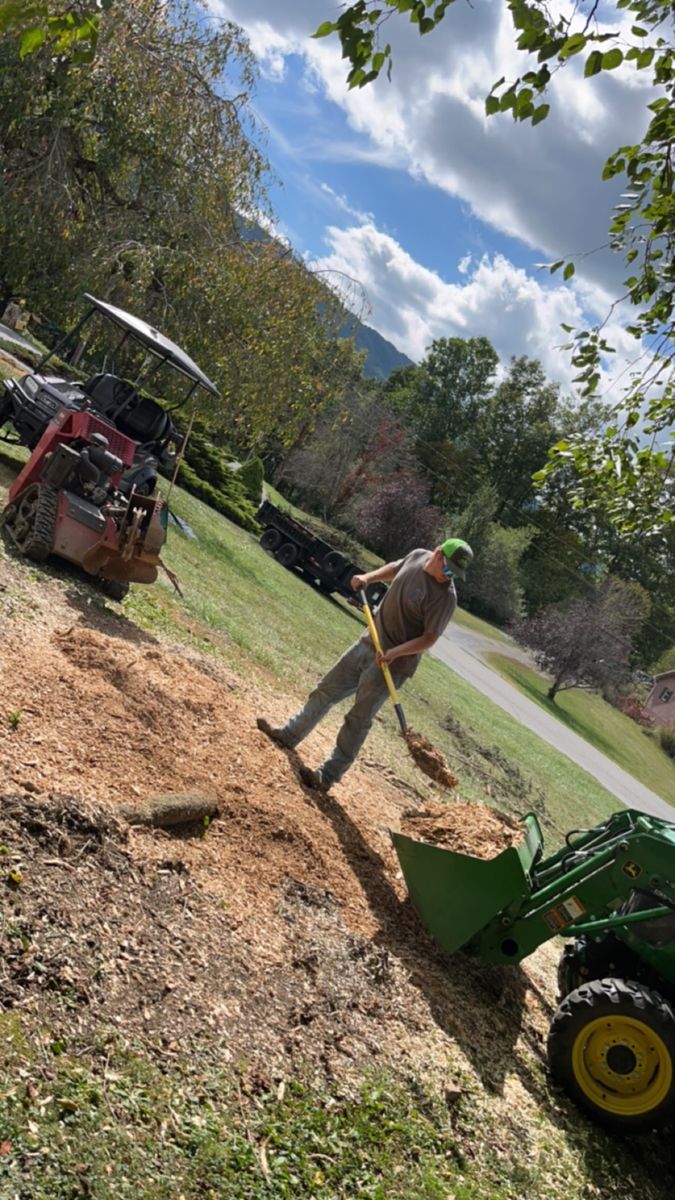 Stump Grinding for Deer Run Property Services in Rocky Gap, VA