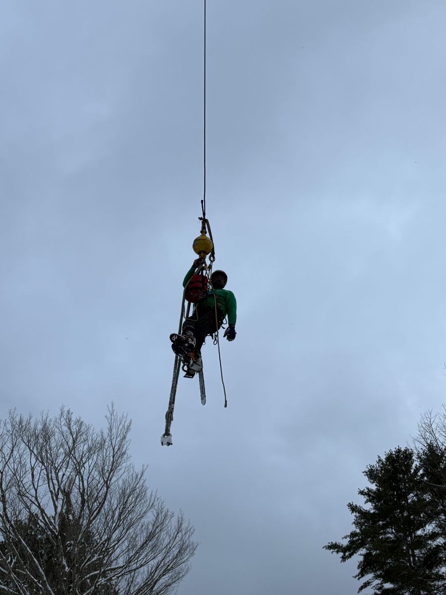 Landscaping for Clifford’s Quality Tree Care & Landscaping in Enfield, NH