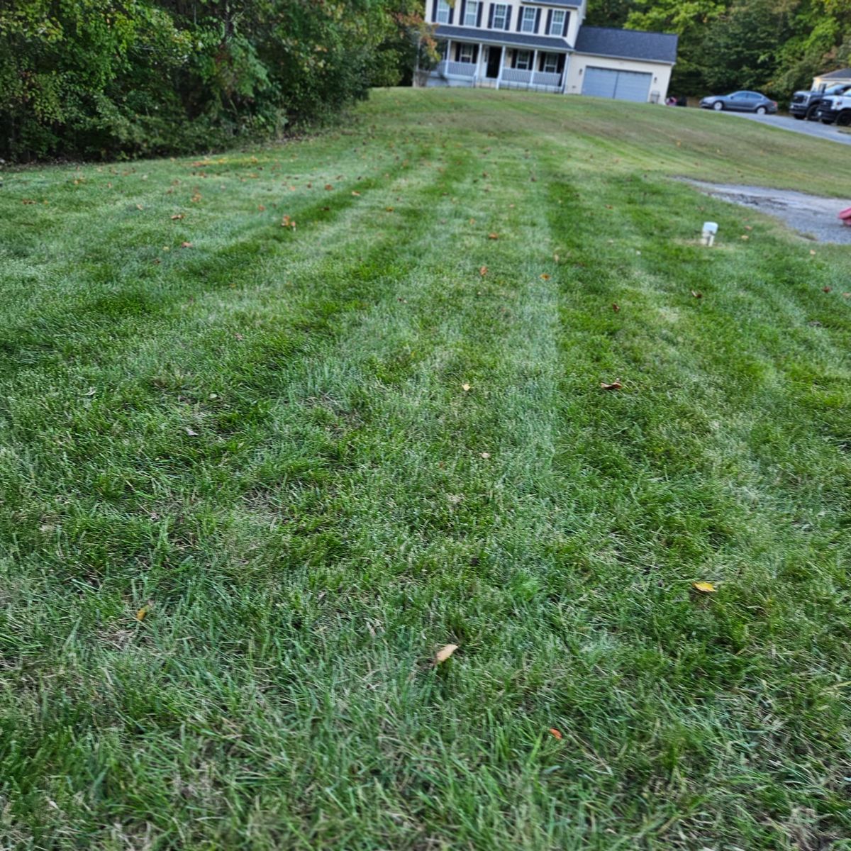 Lawn Maintenance for Sam I AM Property Solutions in Sunderland, MD