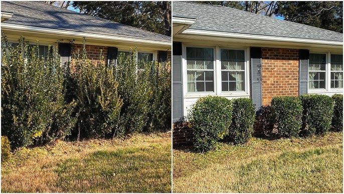 Lawn Maintenance for Castillo’s Lawn Care in Monroe, GA