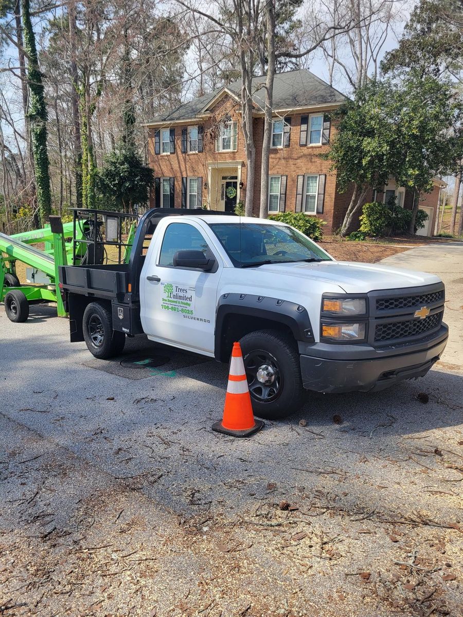 Tree Removal for Trees Unlimited of the CSRA in Augusta, GA
