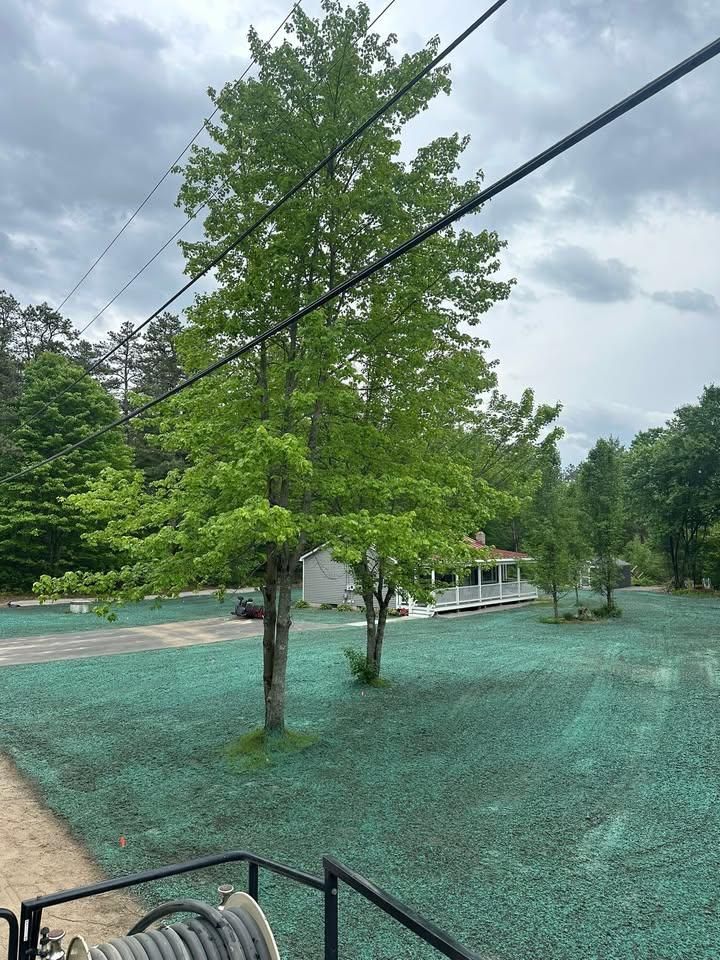 Land Clearing for AFH Earthworks in Madison, NH