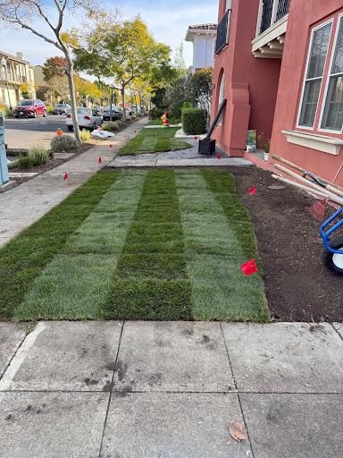 Mulch Installation for CBA Landscaping in Hayward, CA