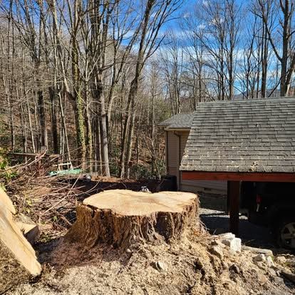 Stumpgrinding for Lopez Landscaping and Tree Service  in Waynesville, NC