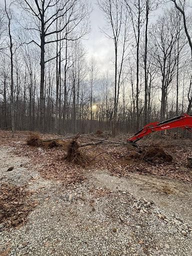 Land Clearing for TD Dirtworks in Tracy City, TN