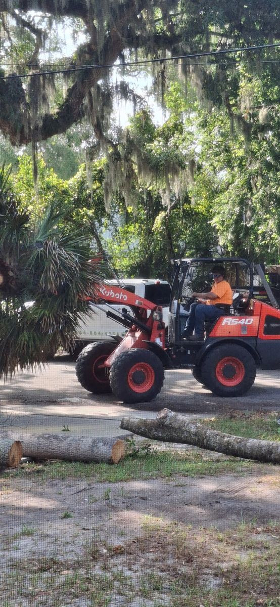 Tree Removal for Daniel Hickey’s Tree Service in DeLand, FL