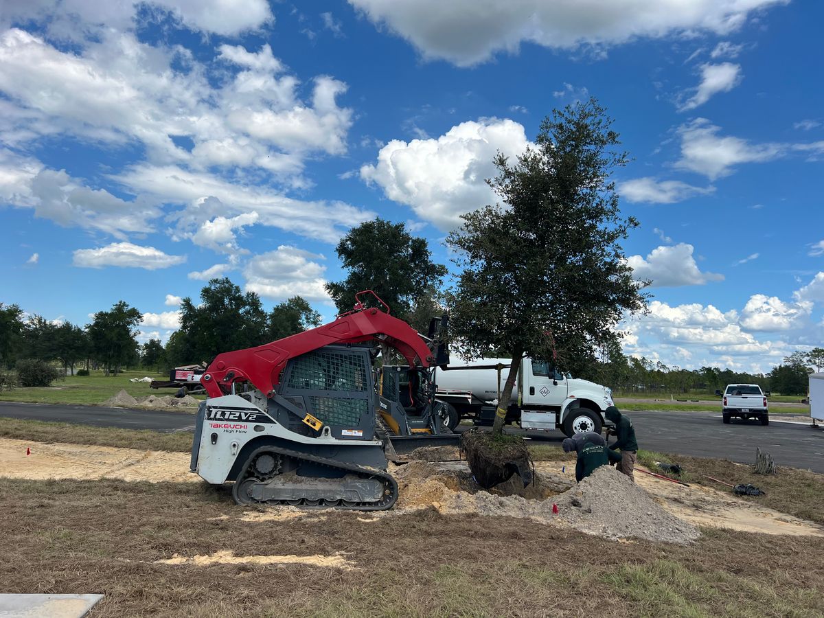 Tree service for Roberts Lawn & Landscape in Steinhatchee, FL