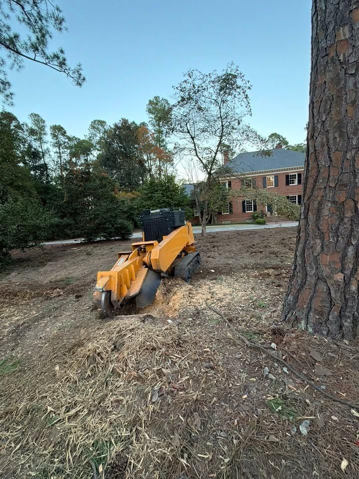 Stump Excavation for Dozier Stump Grinding in Augusta, GA
