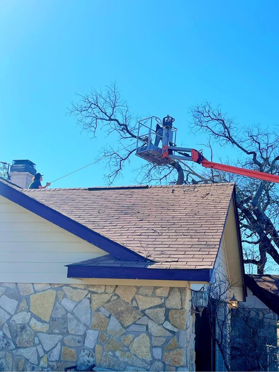 Tree Removal for Superior Lawn and Tree LLC in Clifton, TX