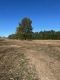 Land Grading for KG Ground Development and Transportation in Newton, IL