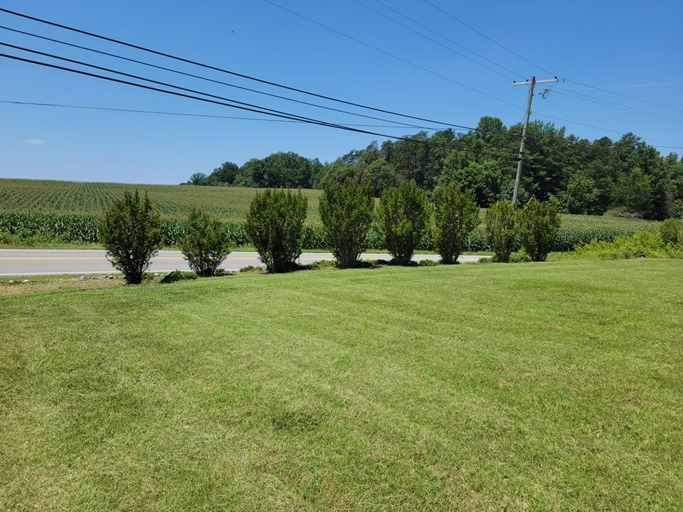 Shrub Trimming for Piedmont Lawn and Landscaping in Lexington, NC