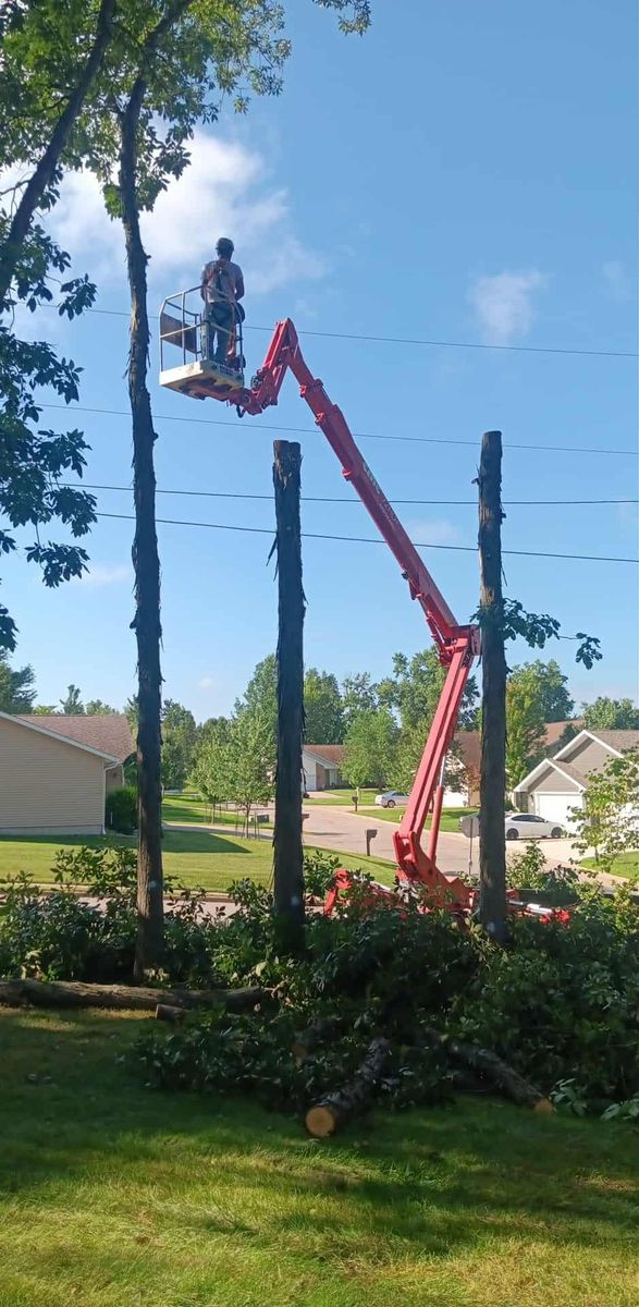 Tree Removal for Lawn Ranger Yard And Tree Service LLC in Ottumwa, IA