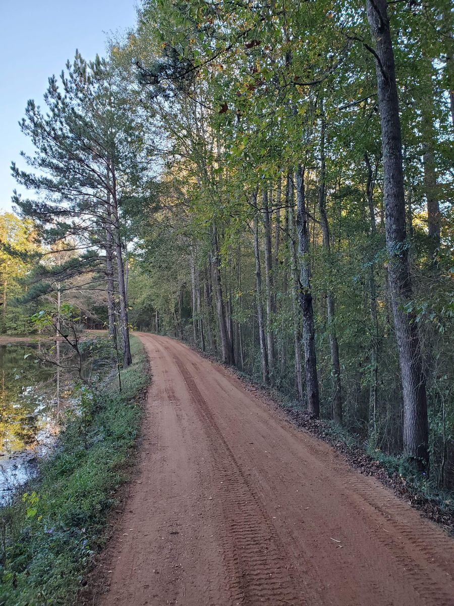 Driveways for Jason Scott Grading & Clearing in Williamson, GA