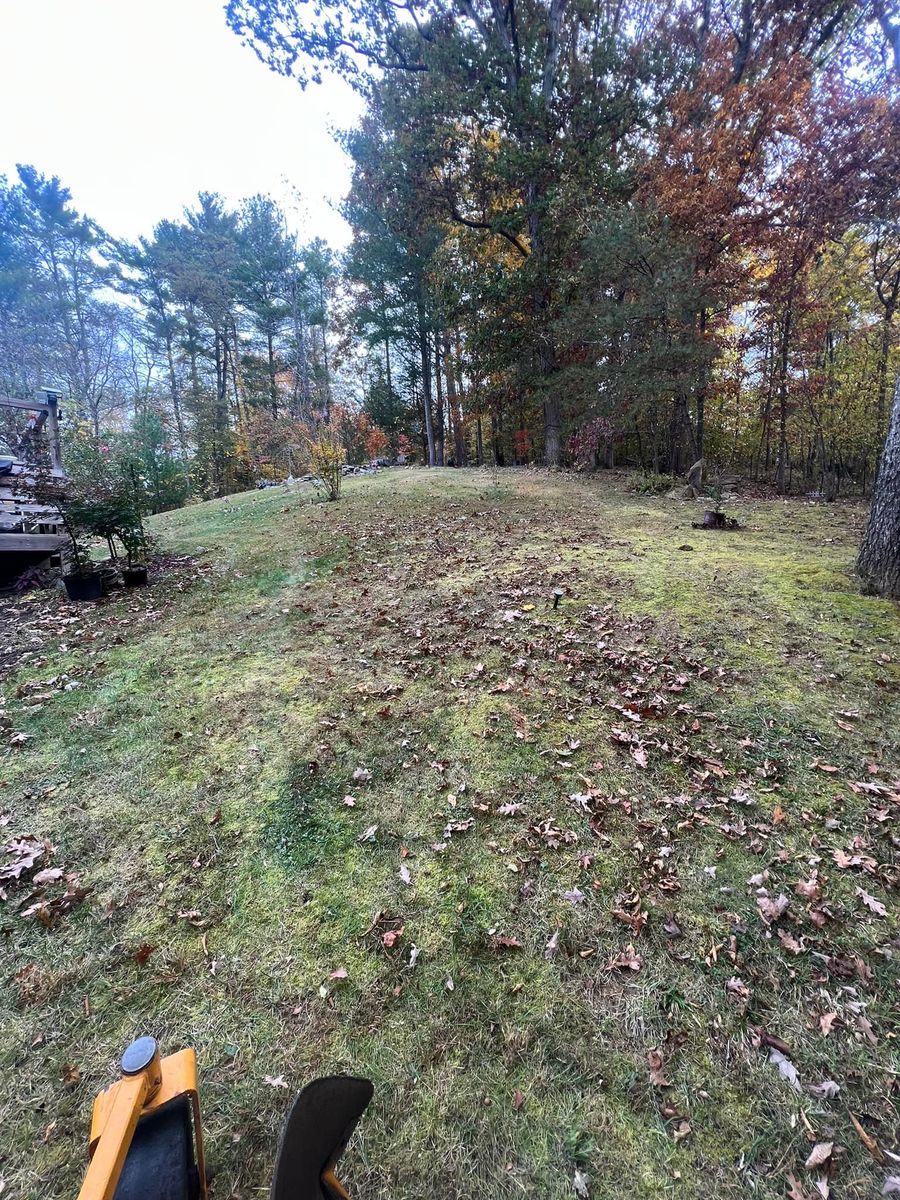 Fall Clean Up for SkyLimit LawnCare in Asheville, NC