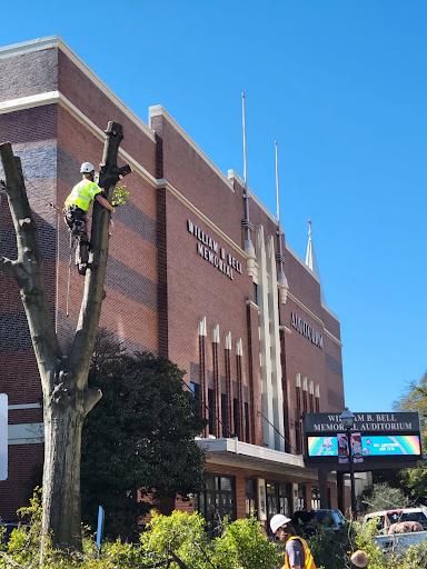 Tree Trimming for Trees Unlimited of the CSRA in Augusta, GA