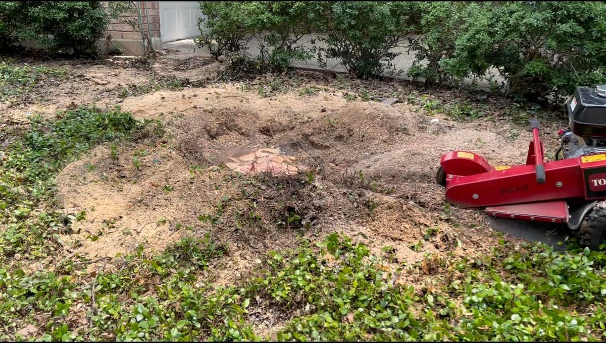 Stump Grinding for Neighborhood Lawn Care and Tree Service  in San Antonio, TX