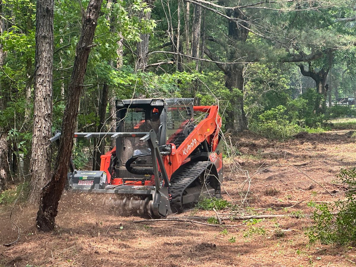 Forestry Mulching for T&S Land Management Services in Effingham County, GA