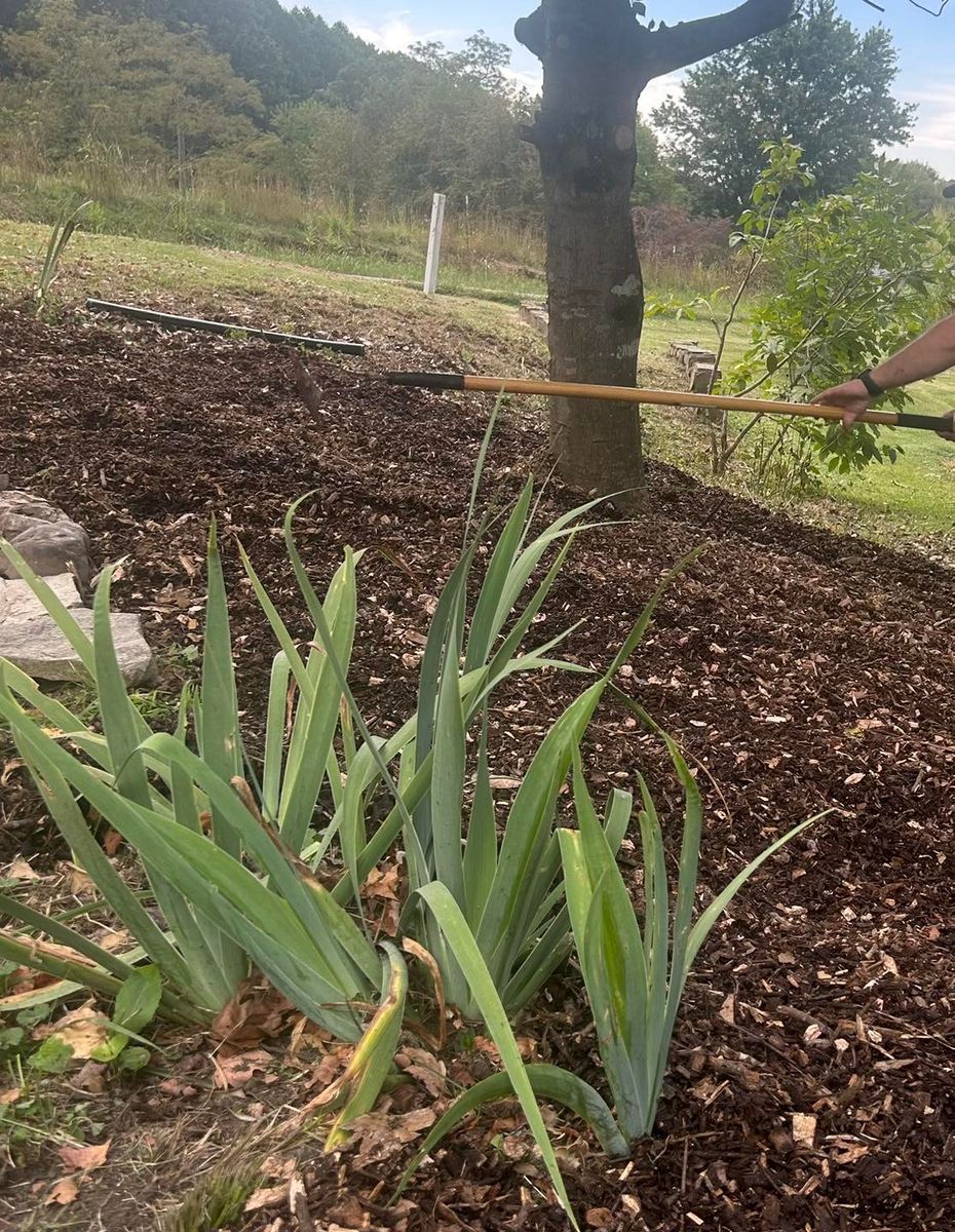 Landscape Design for Legends Lawn Care in Johnson City, TN