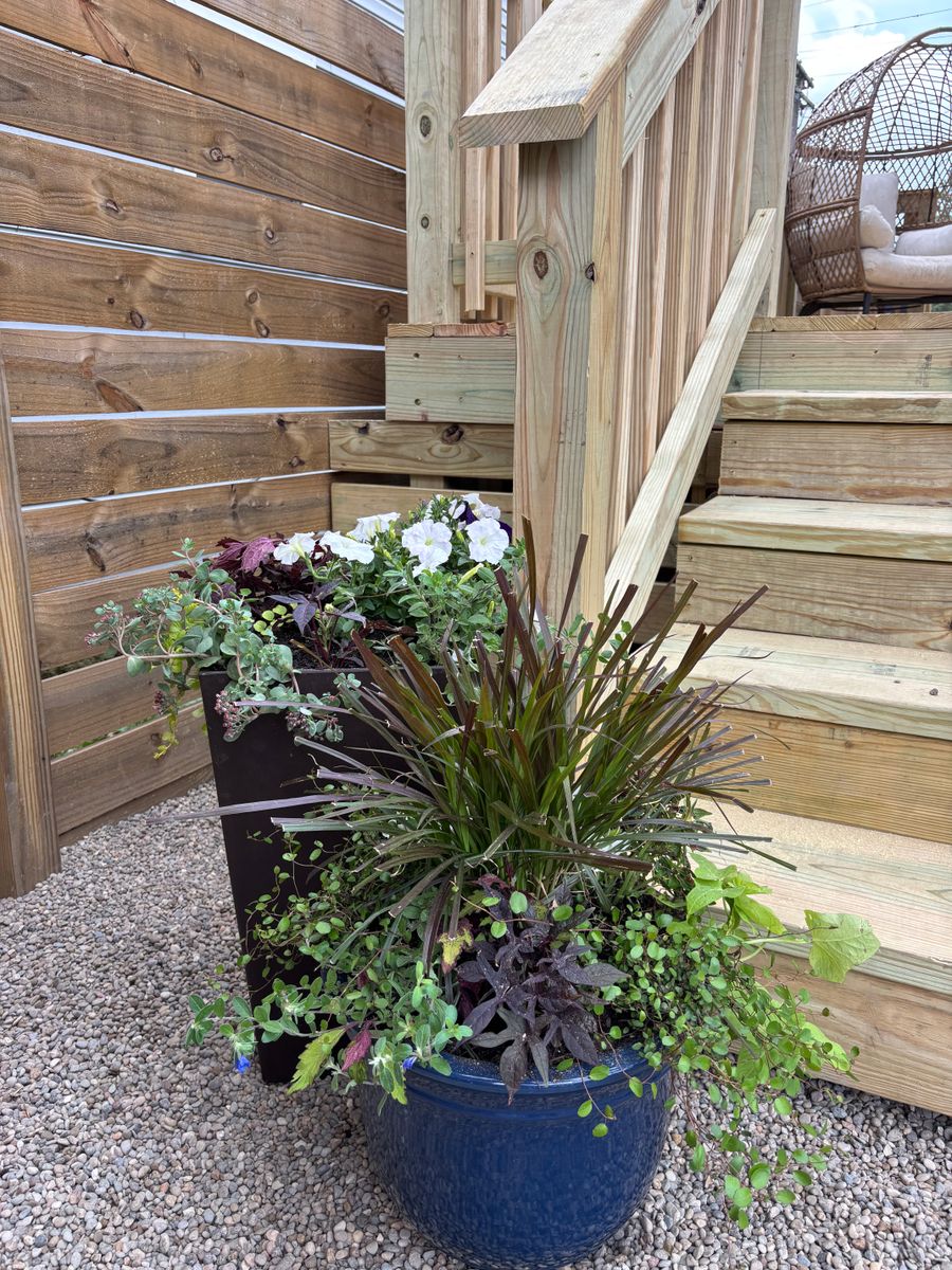 Yard Work & Planters for B5’s Painting & General Services in Louisville, KY