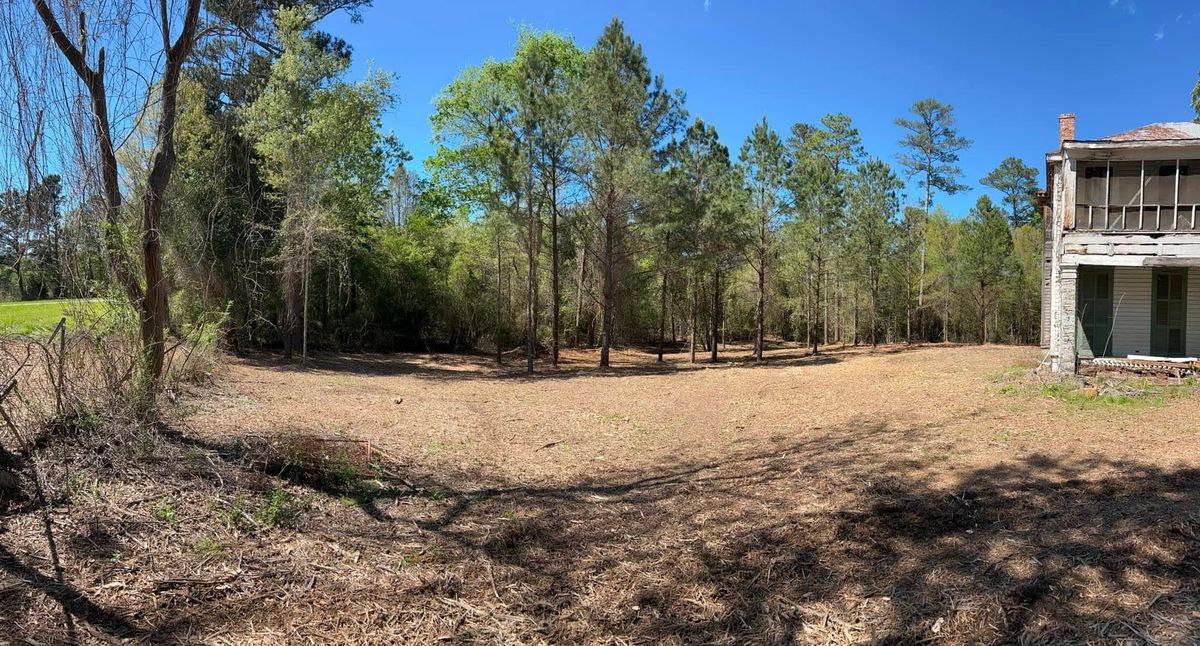 Site Preparation for Archer Land Management in Macon, GA
