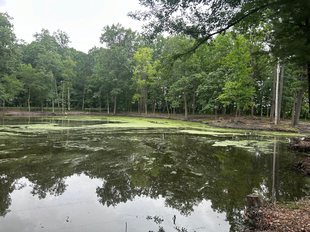Land Clearing for Solid Rock Concrete & Landwork in Galion, OH