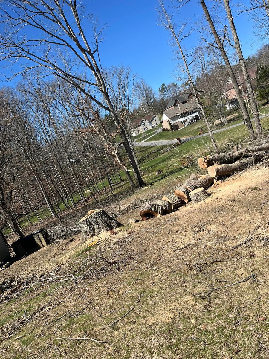 Tree Trimming & Removal for Deer Run Property Services in Rocky Gap, VA