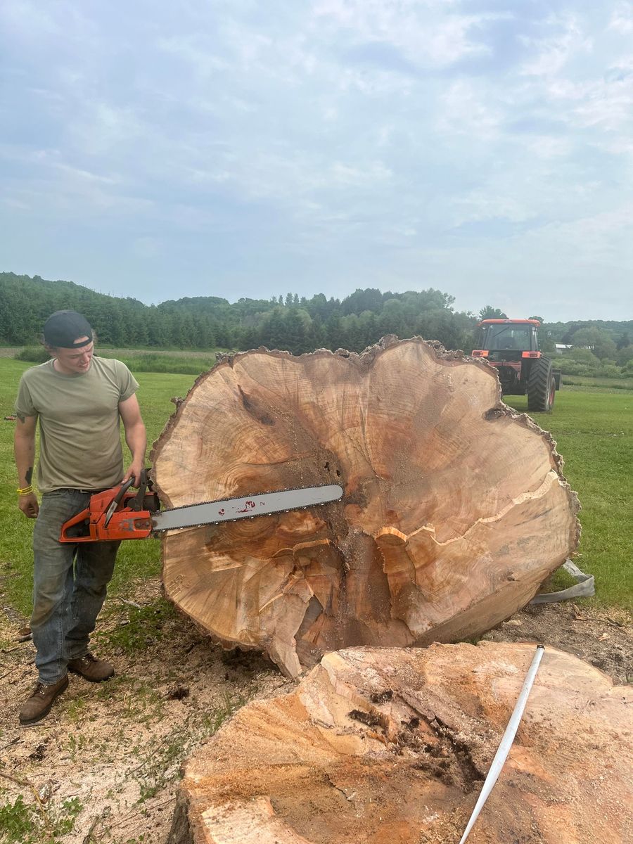 Tree Removal for J&Q Tree Service in Paradise, MI